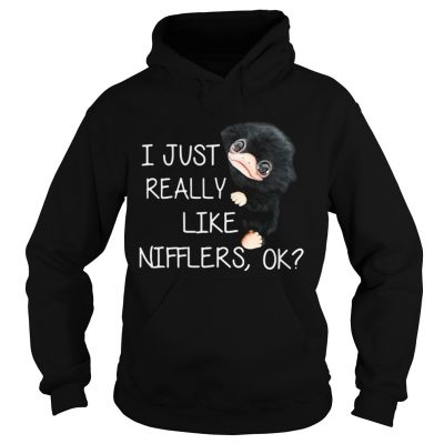 Hoodie I just really like Nifflers ok shirt