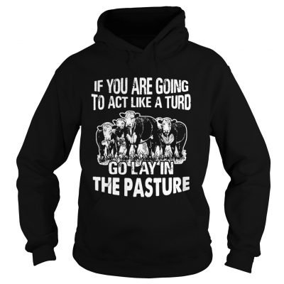 Hoodie If you are going to act like a turd go lay in the pasture shirt