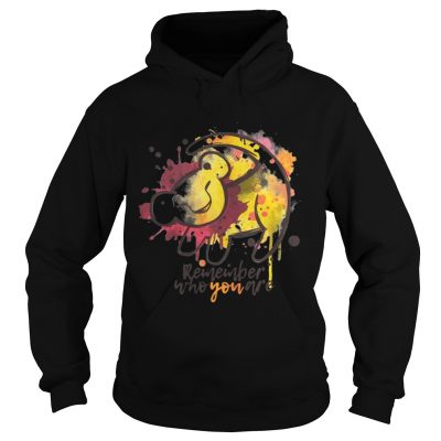 Hoodie Lion King Remember who you are shirt