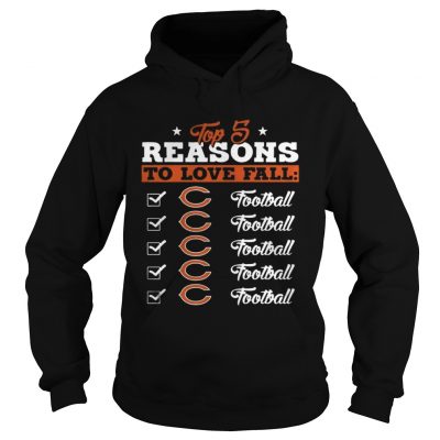 Hoodie Top 5 Reasons To Love Falls Bears Football Team TShirt