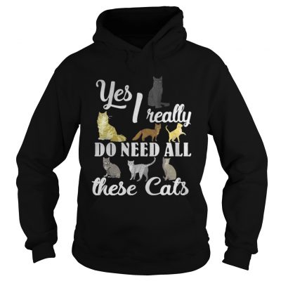 Hoodie Yes I really do need all these cats shirt