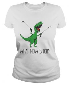 Ladies Tee Dinosaurs Unicorn What Now Bitch shirt