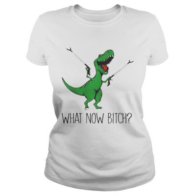 Ladies Tee Dinosaurs Unicorn What Now Bitch shirt