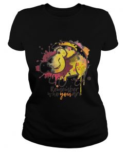 Ladies Tee Lion King Remember who you are shirt