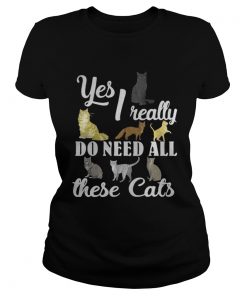 Ladies Tee Yes I really do need all these cats shirt