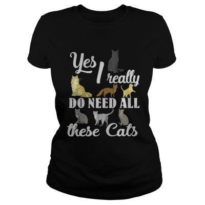 Ladies Tee Yes I really do need all these cats shirt