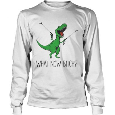 Longsleeve Tee Dinosaurs Unicorn What Now Bitch shirt