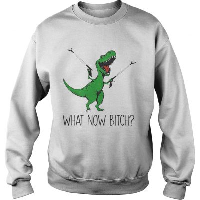 Sweatshirt Dinosaurs Unicorn What Now Bitch shirt