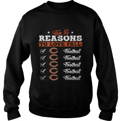 Sweatshirt Top 5 Reasons To Love Falls Bears Football Team TShirt