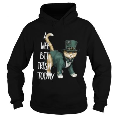 Hoodie Cat A wee bit irish today shirt