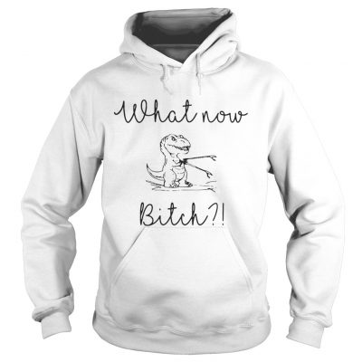 Hoodie Dinosaurs What Now Bitch shirt