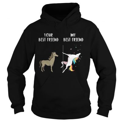 Hoodie Your best horse friend my best friend unicorn shirt