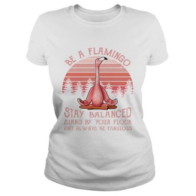 Ladies Tee Be a flamingo stay balanced stand by your flock and always be fabulous retro shirt