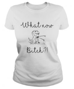 Ladies Tee Dinosaurs What Now Bitch shirt