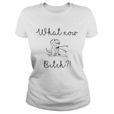 Ladies Tee Dinosaurs What Now Bitch shirt