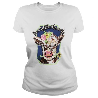 Ladies Tee Heifer Im a little moody shirt