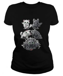 Ladies Tee How to Train Your Dragon cat fusion bat Toothless shirt