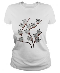 Ladies Tee Kitten cats pussy willow flowers shirt