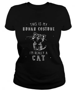 Ladies Tee This is my human costume Im really a cat shirt