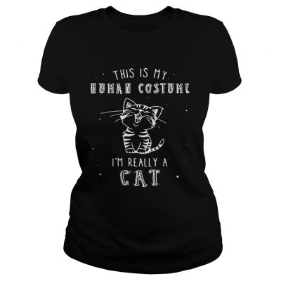 Ladies Tee This is my human costume I’m really a cat shirt