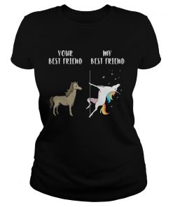 Ladies Tee Your best horse friend my best friend unicorn shirt