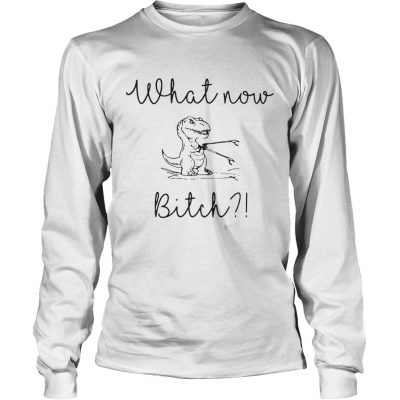 Longsleeve Tee Dinosaurs What Now Bitch shirt