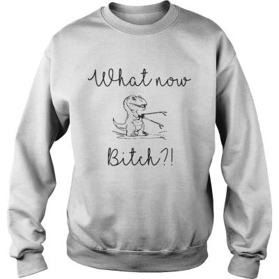 Sweatshirt Dinosaurs What Now Bitch shirt