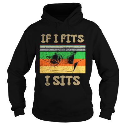 Cat if I fits I sits vintage sunset hoodie