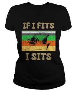 Cat if I fits I sits vintage sunset ladies tee