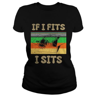 Cat if I fits I sits vintage sunset ladies tee