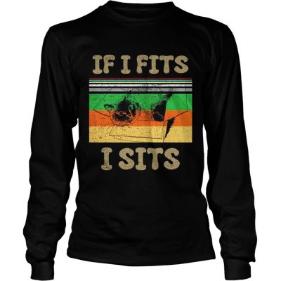 Cat if I fits I sits vintage sunset longsleeve tee