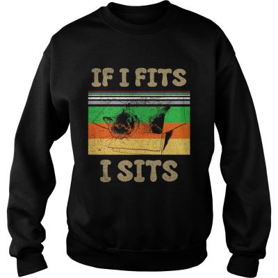 Cat if I fits I sits vintage sunset sweatshirt