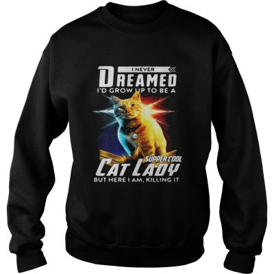 Flerken Goose I Never Dreamed Id Grow Up To Be A Super Cool Cat sweatshirt