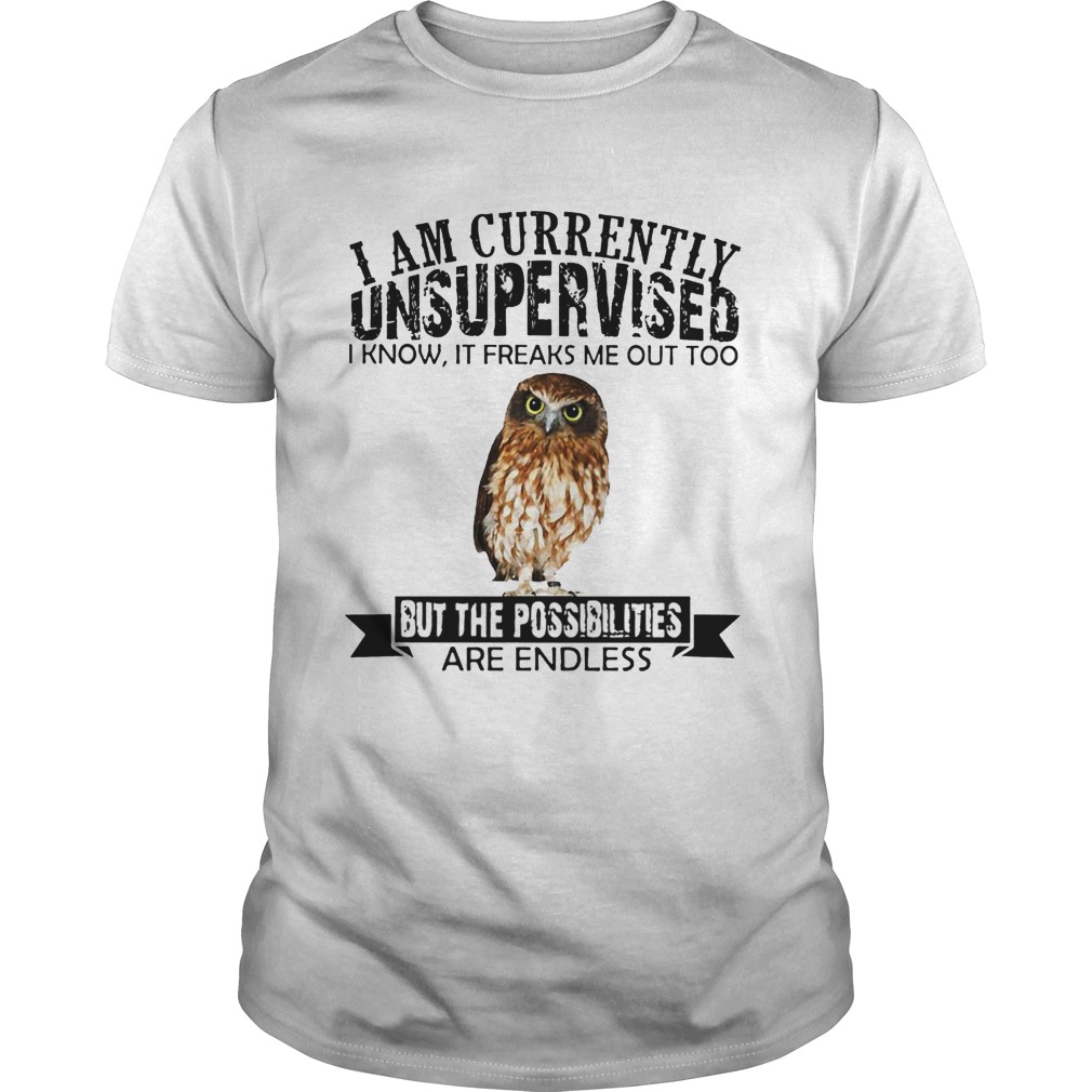 Burrowing Owl I am currently Unsupervised I know it freaks me out too but the possibilities are endless shirt