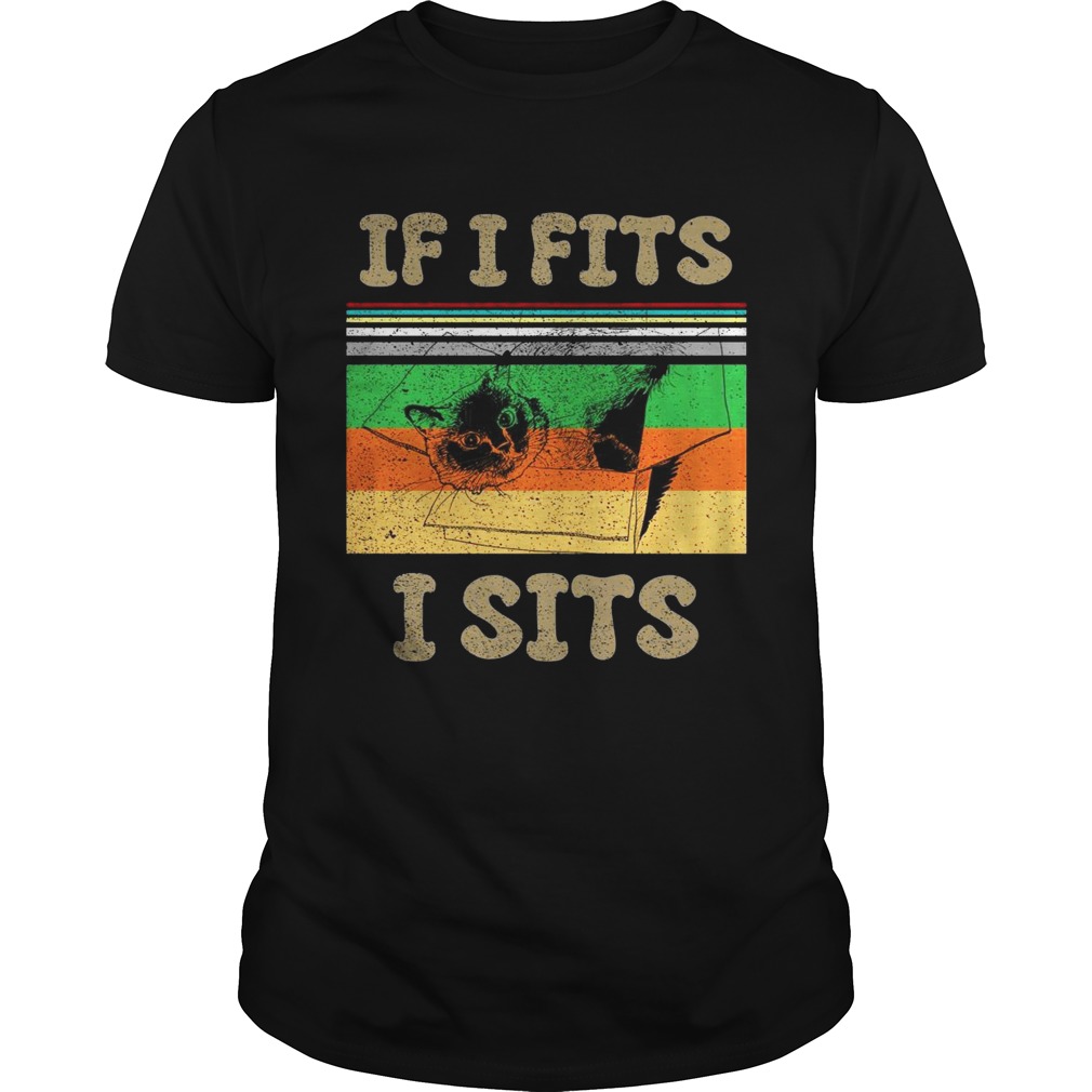 Cat if I fits I sits vintage sunset shirt