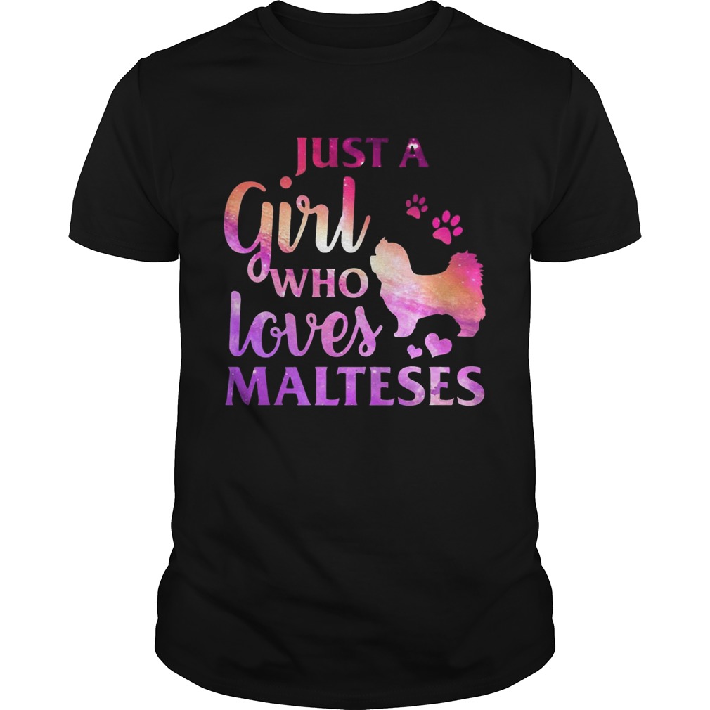 Just A Girl Who Loves Maltese Colorful Gift Shirt