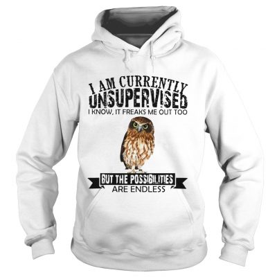 Hoodie Burrowing Owl I am currently Unsupervised I know it freaks me out too but the possibilities are end