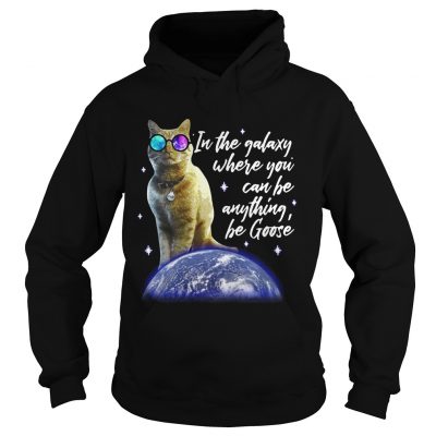 Hoodie Cat In the galaxy where you can be anything be Goose shirt