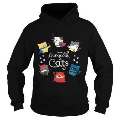 Hoodie Dungeons and cats shirt