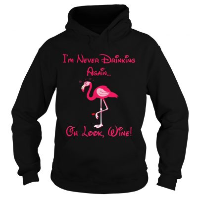 Hoodie Flamingo im never drinking again oh look shirt