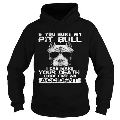 Hoodie If You Hurt My Pit Bull I Can Make Your Death Gift Tee For Pit bull Lover shirt