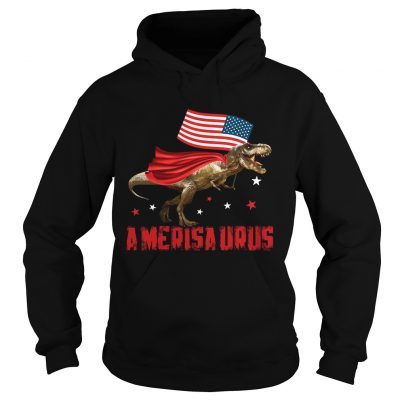 Hoodie T Rex Dinosaur American Flag 4th Of July TShirt