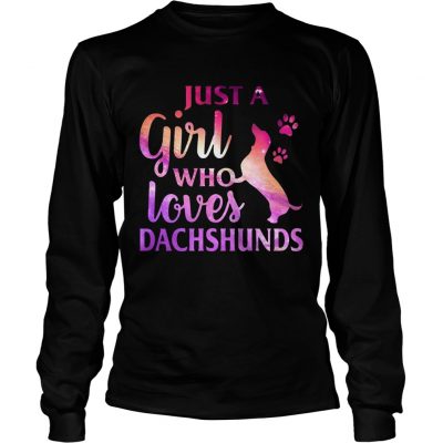 Just A Girl Who Loves Dachshund Colorful Gift Longsleeve Tee