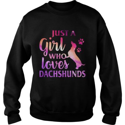 Just A Girl Who Loves Dachshund Colorful Gift Sweatshirt