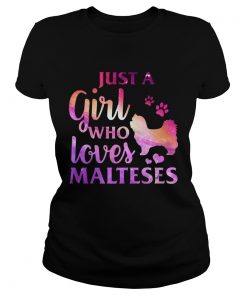 Just A Girl Who Loves Maltese Colorful Gift Ladies Tee