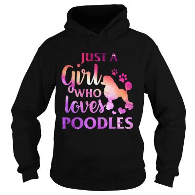 Just A Girl Who Loves Poodle Colorful Gift hoodie