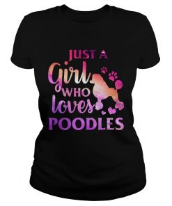 Just A Girl Who Loves Poodle Colorful Gift ladies tee