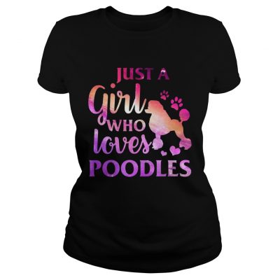 Just A Girl Who Loves Poodle Colorful Gift ladies tee