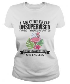 Ladies Tee Flamingo I am currently unsupervised I know It freaks me out too but the possibilities are endless