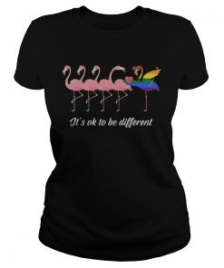 Ladies Tee Flamingo LGBT Its ok to be different shirt